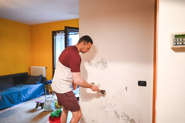 Best Basement Mold Remediation in Tampa, FL